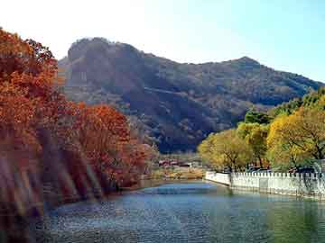 澳门天天彩期期精准平肖，黑帽seo程序